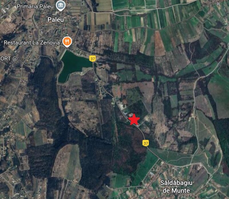 Teren de vanzare in Paleu - Saldabagiu la asfalt, gaze si electricitate